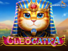 Gaminator casino slot makinesi35